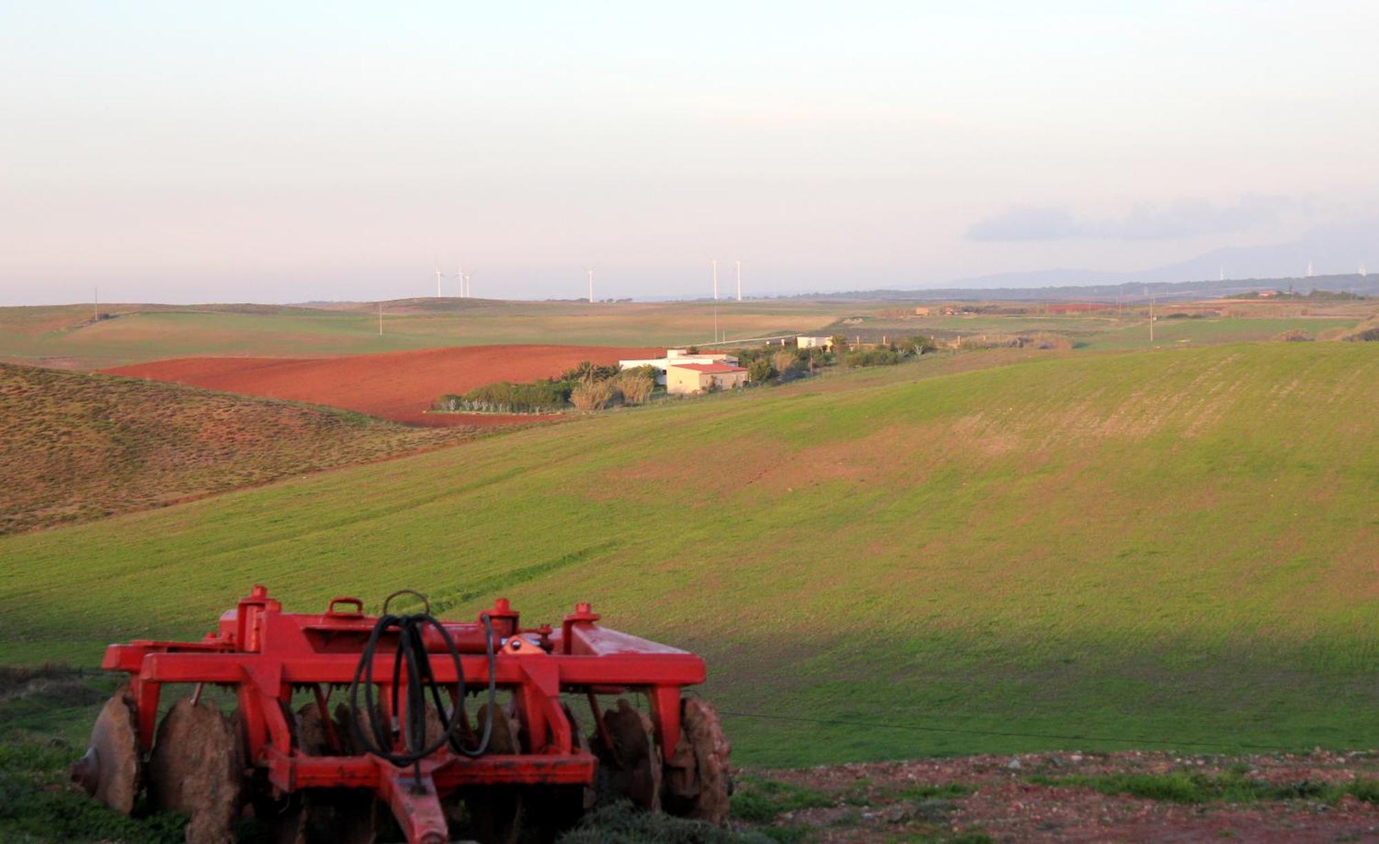 Monte De Santo Antonio - Turismo Rural Villa Вила до Биспо Стая снимка